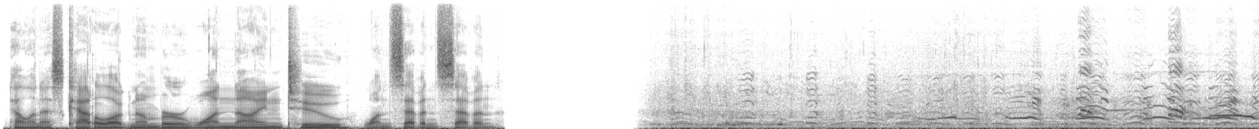 三趾鷗(pollicaris) - ML192177