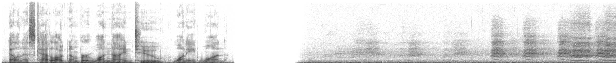 Pygargue à tête blanche - ML192181