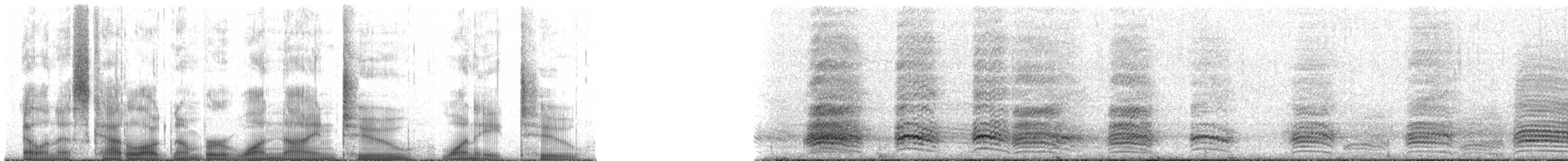 American Crow - ML192182