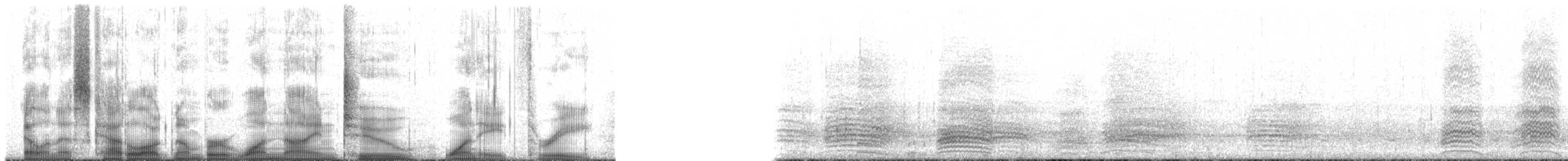 American Crow - ML192183