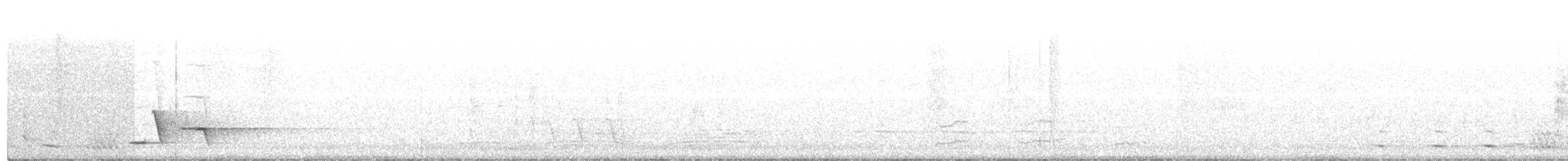 hvittøyleplystrer - ML192193601
