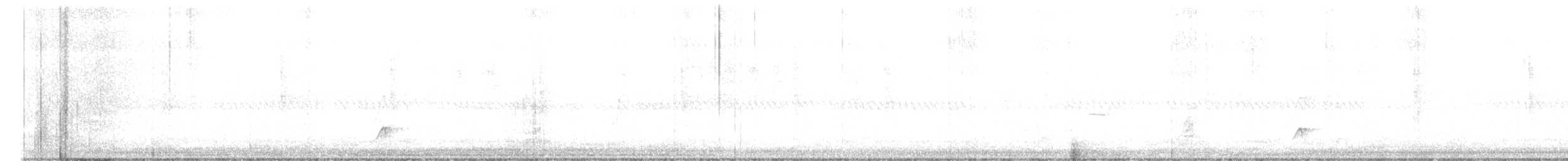 Copetón Tiranillo - ML192201791