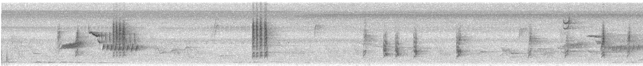 Bewick Çıtkuşu - ML192266021