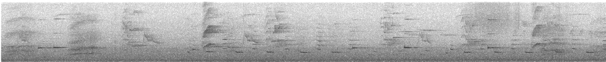 Méliphage à sourcils noirs - ML192276041