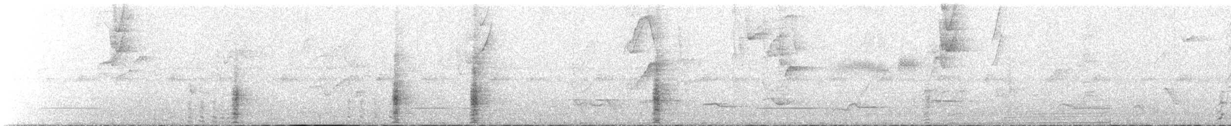Чачалака цяткована - ML192278201