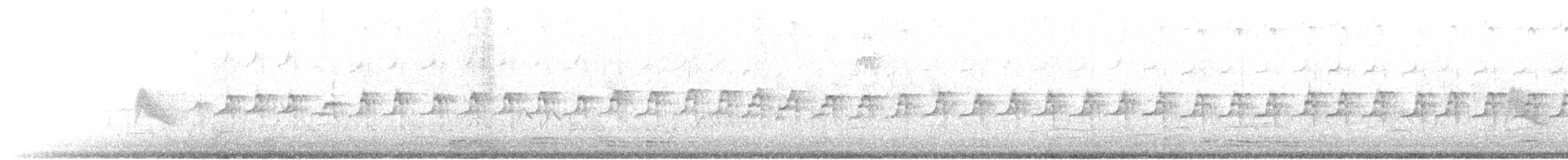 Pied-billed Grebe - ML192285201