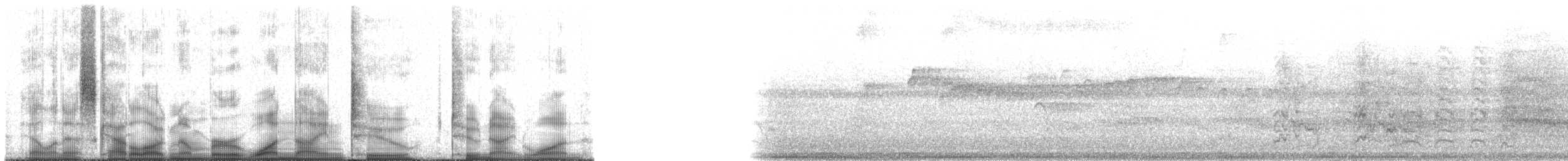 Aratinga de Wagler - ML192291