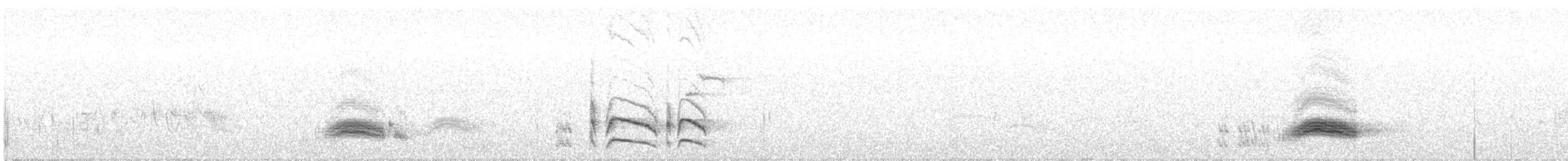 Cassin's Kingbird - ML192330971