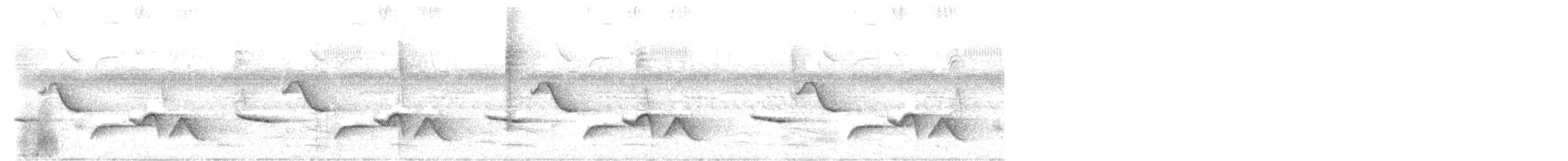 Spot-breasted Wren - ML192350971