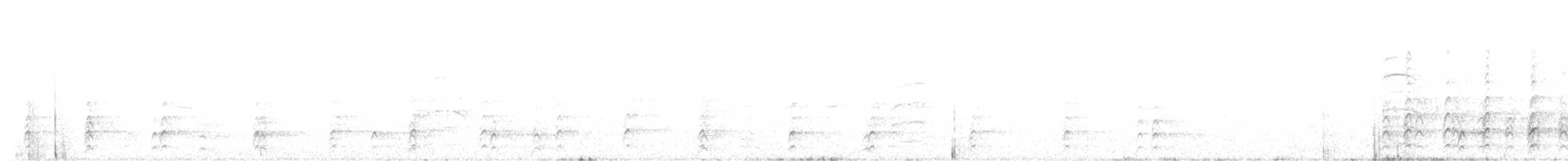 Schwarznacken-Stelzenläufer - ML192351471
