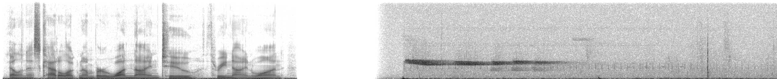 Brown Tinamou (Andean) - ML192391