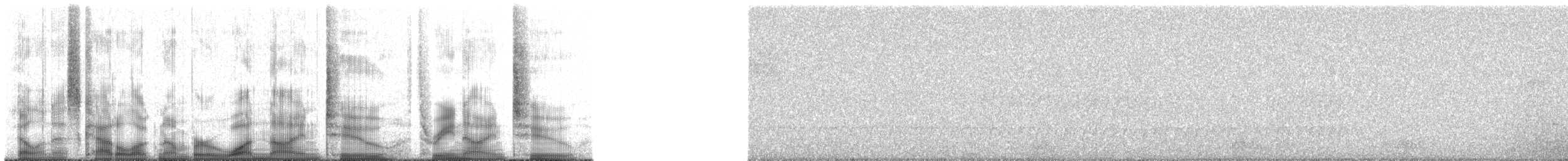 Rufous-breasted Leaftosser - ML192392