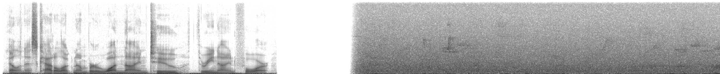 Southern Bristle-Tyrant - ML192394