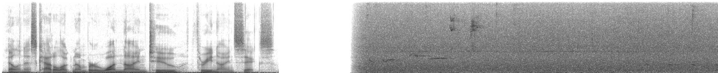 Southern Bristle-Tyrant - ML192396