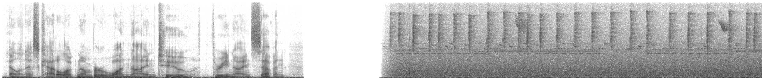 Black-throated Mango - ML192397