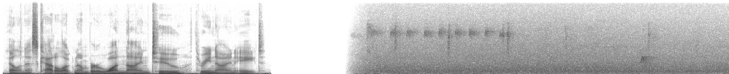 Swallow-tailed Manakin - ML192398