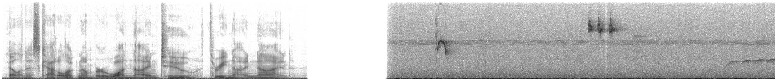 Violaceous Euphonia - ML192399