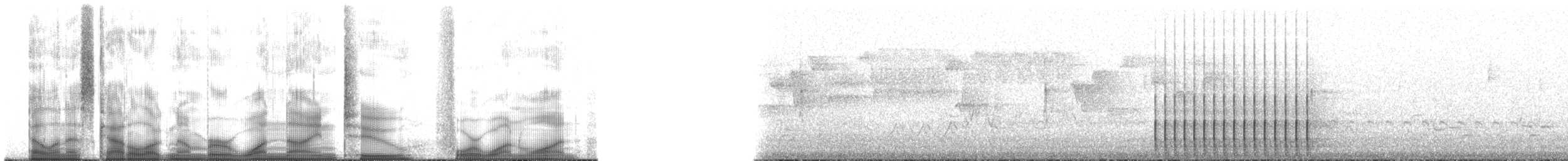 woodpecker sp. - ML192411
