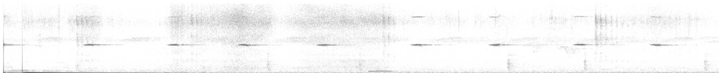 Myiomèle à queue blanche - ML192438081