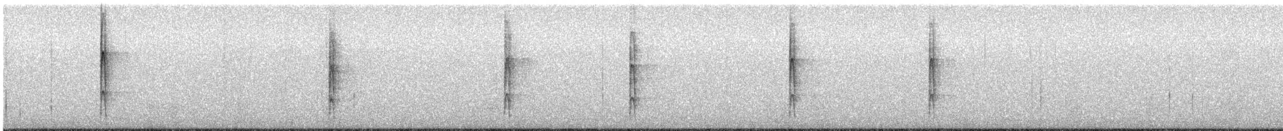 strakapoud proužkohřbetý - ML192452761
