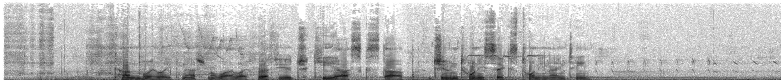 Song Sparrow - ML192457691