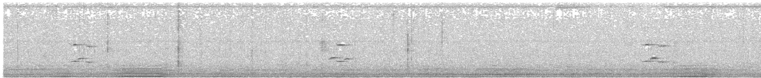 Пестрогрудый тираннчик - ML192490181