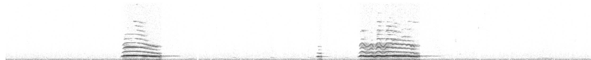 Сова сіра - ML192545691