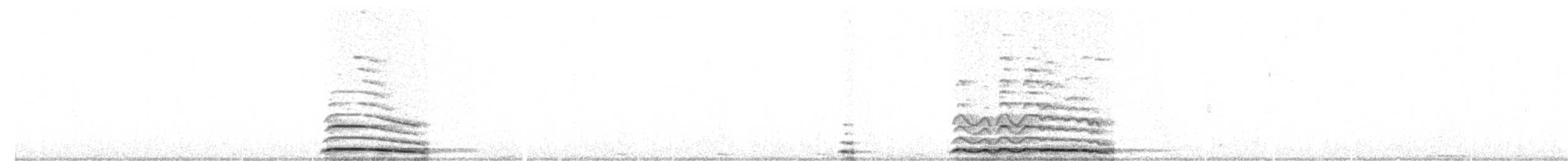 Tawny Owl - ML192545691