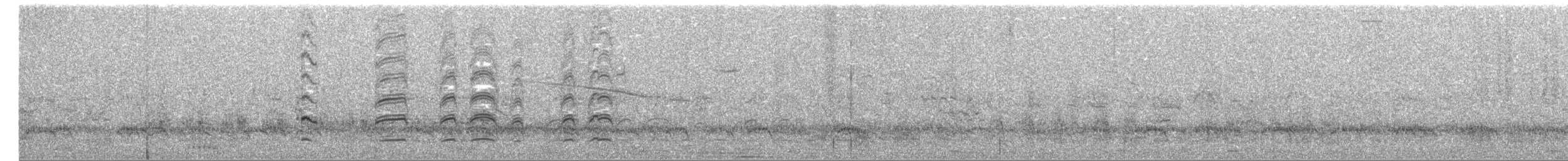 halsbåndfrankolin - ML192574701