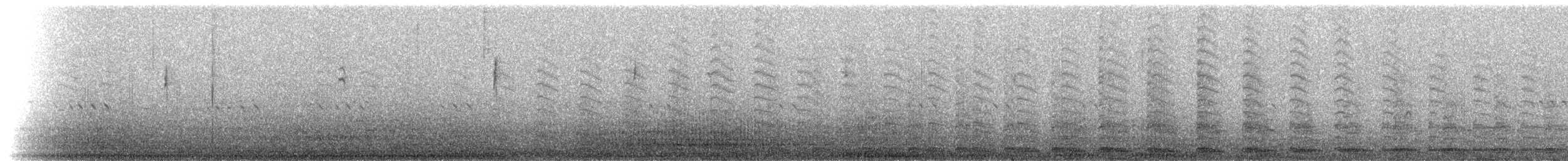 Höckerschwan - ML192587851