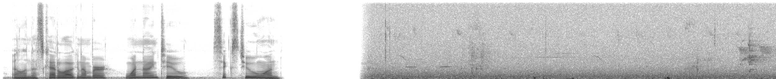 Bronze-winged Parrot - ML192621