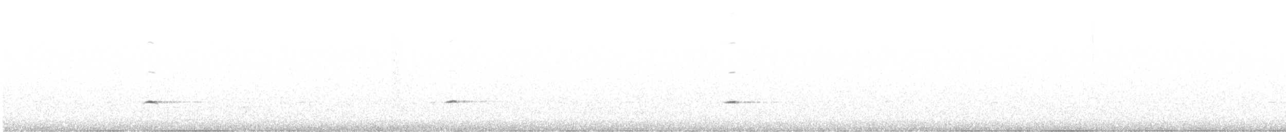 gråsolitærtrost - ML192627971