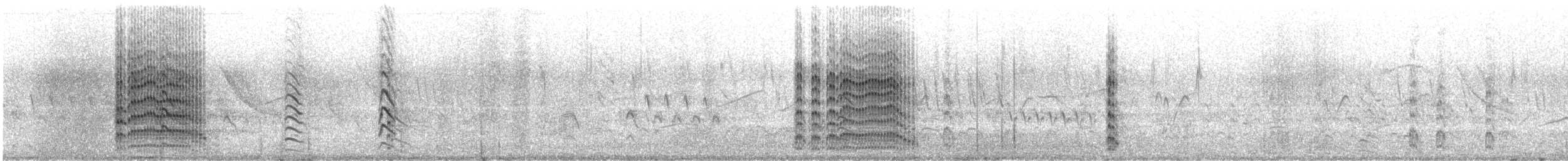 sørhettemåke - ML192652641