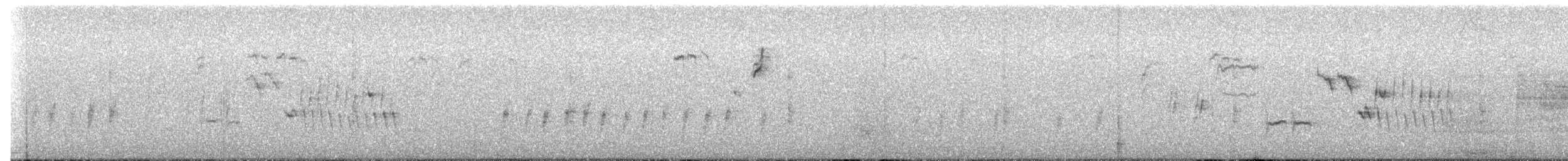 Bewick's Wren - ML192684751