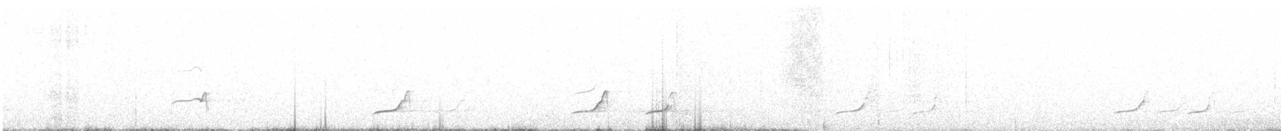 Tinamou élégant - ML192716171