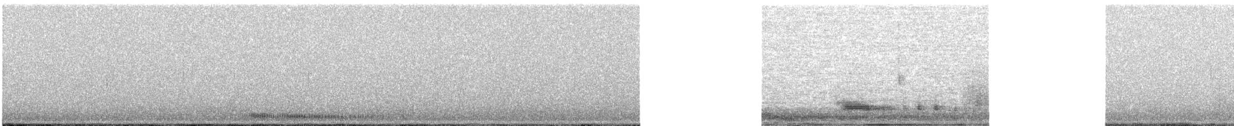 morčák chocholatý - ML192716521