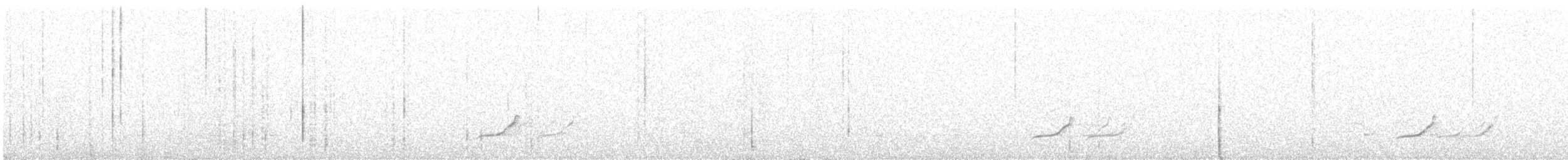 Tinamou élégant - ML192716641