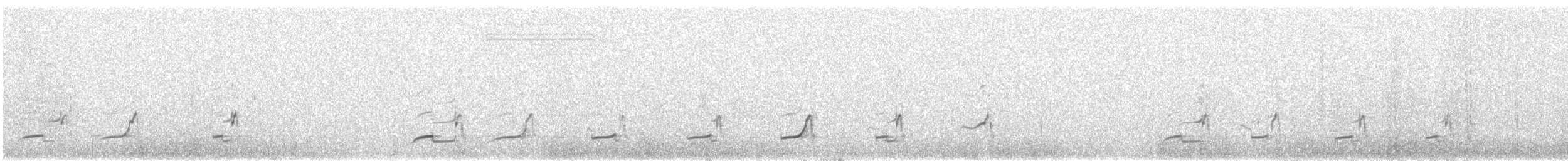 Tinamou élégant - ML192718011