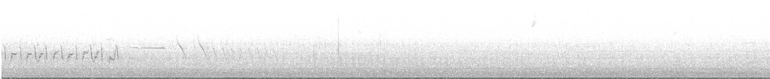 Western Grebe - ML192736601