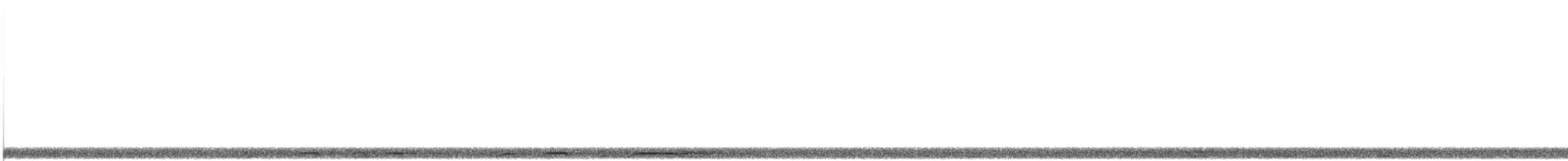 Chouette rayée - ML192801531