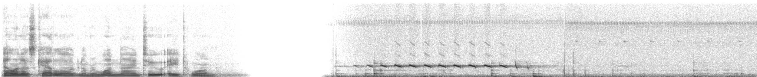 Giant Antshrike - ML19281