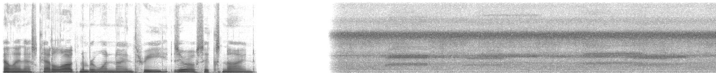 Cope's Gray Treefrog - ML193069