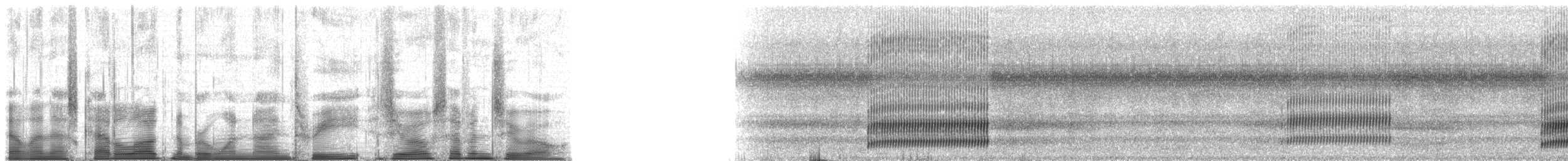 Cope's Gray Treefrog - ML193070