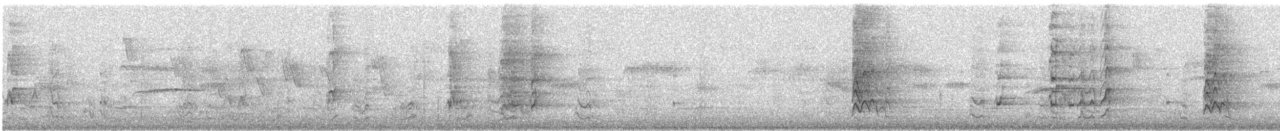 Белоухая которра - ML193070011