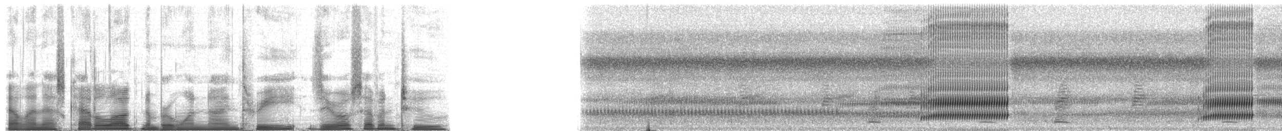 Cope's Gray Treefrog - ML193072