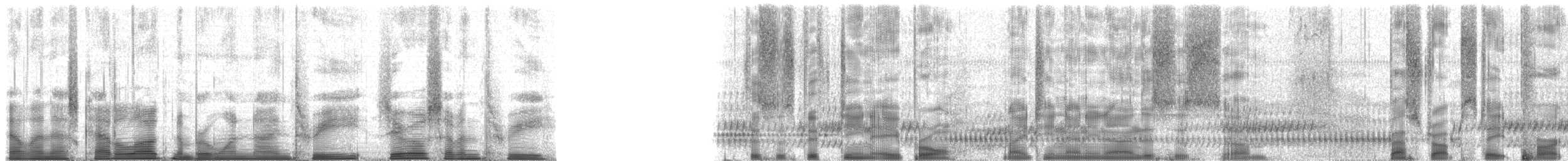 Gray Treefrog - ML193073