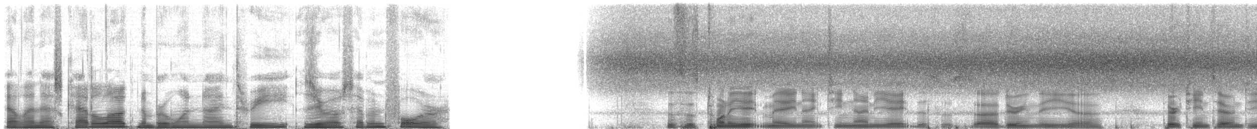 Typical Cicadas - ML193074