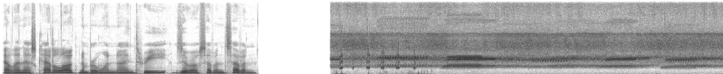 Cope's Gray Treefrog - ML193077