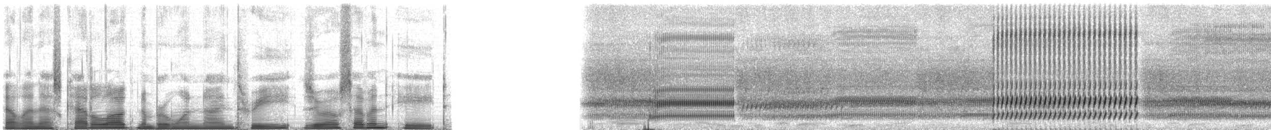 Gray Treefrog - ML193078