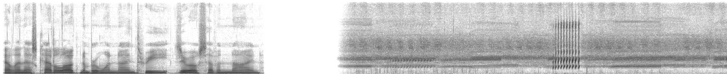 Gray Treefrog - ML193079